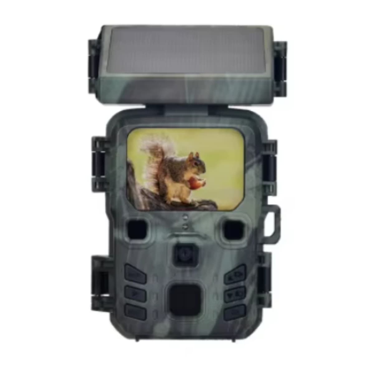 WildTrail H20 : la caméra de chasse solaire sans abonnement