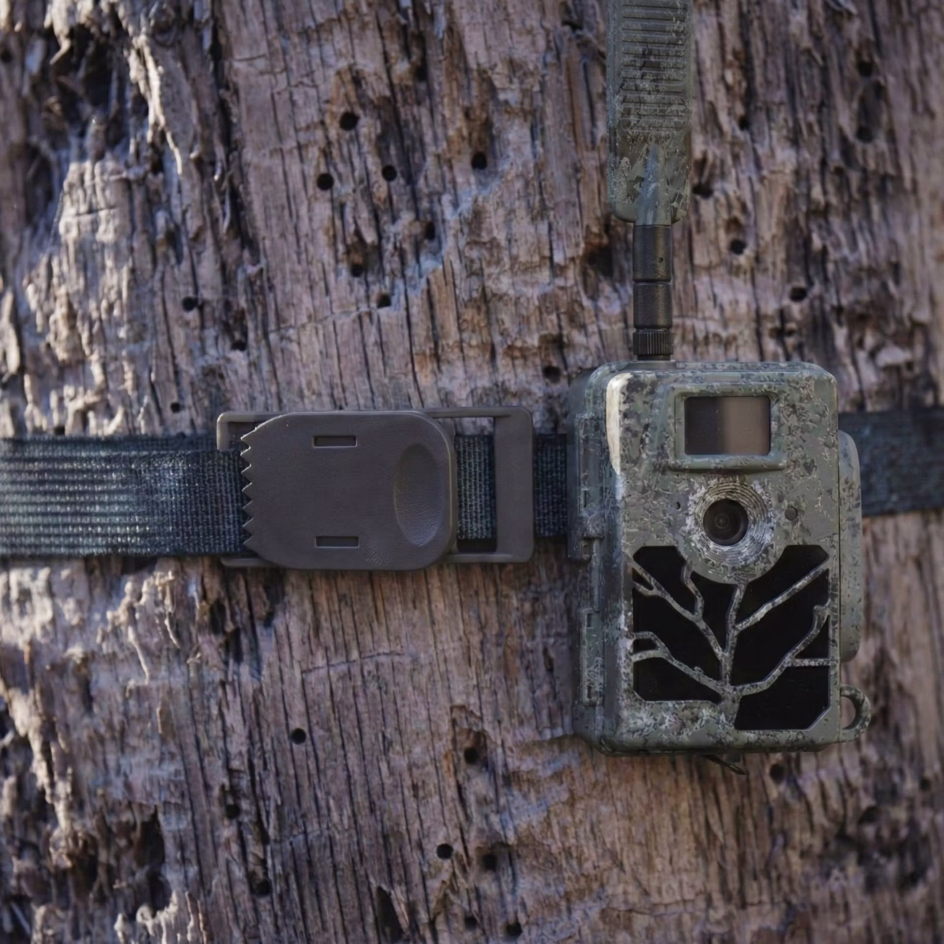 Caméras de Chasse Connectées