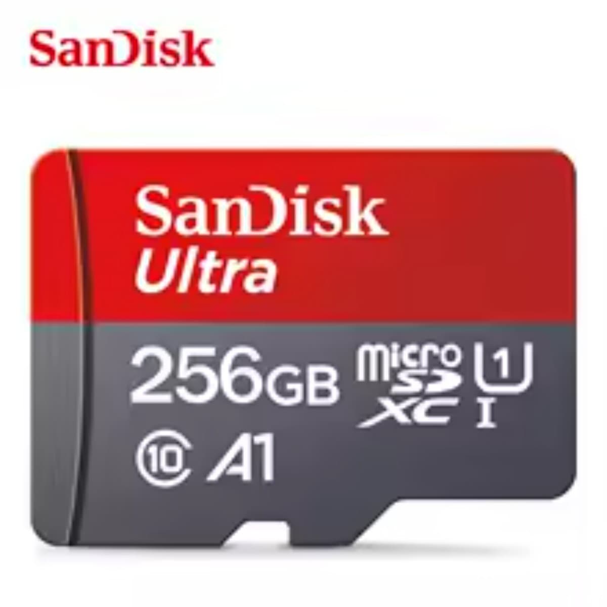 Carte Mémoire microSD SanDisk Ultra A1 wildtrail 256go