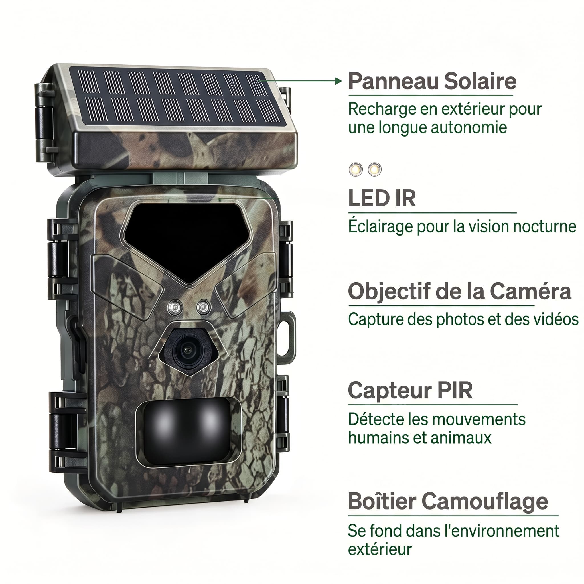 Anatomie de la WildTrail H10